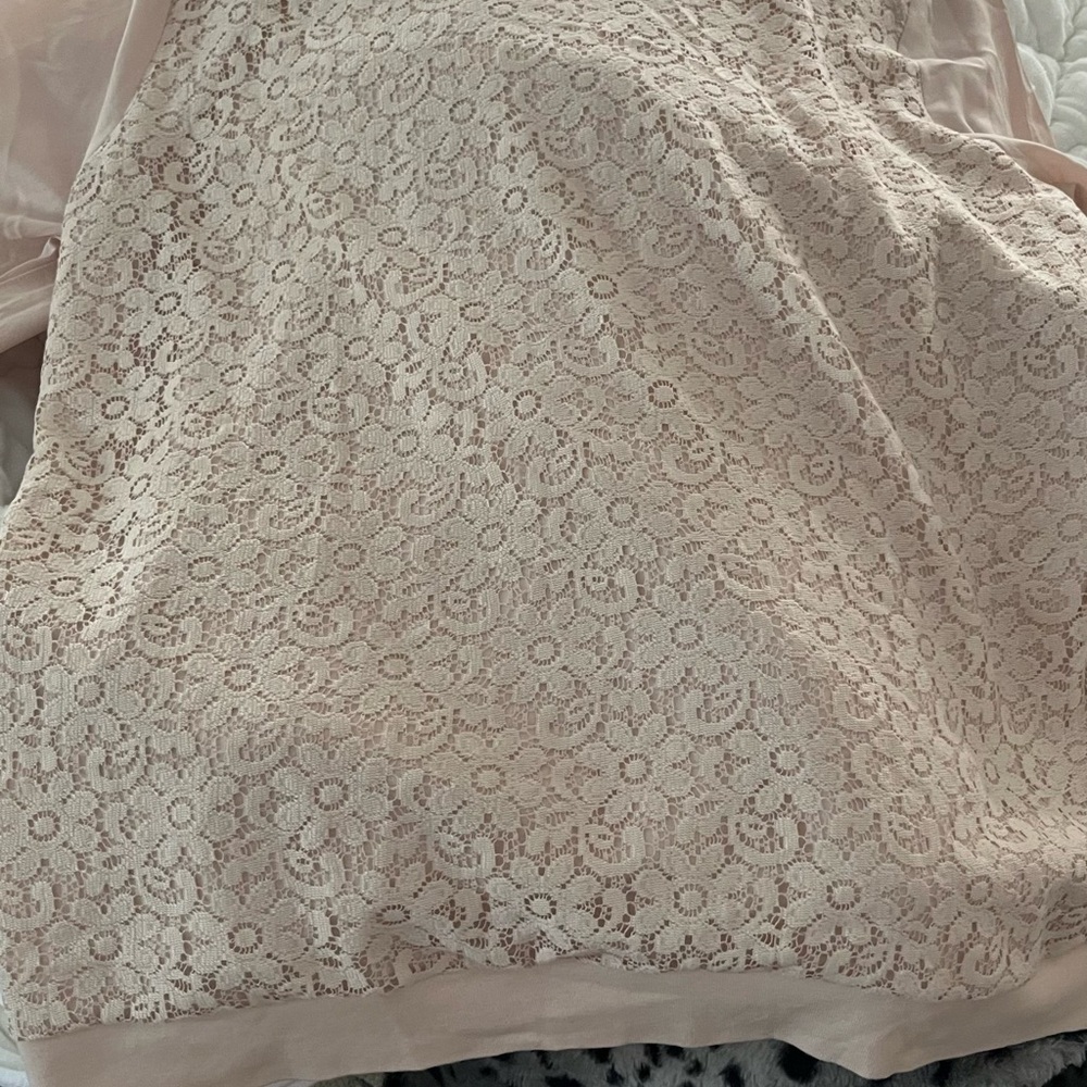 Ann Taylor Blush Lace Blouse